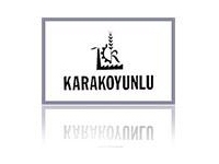 Karakoyunlu